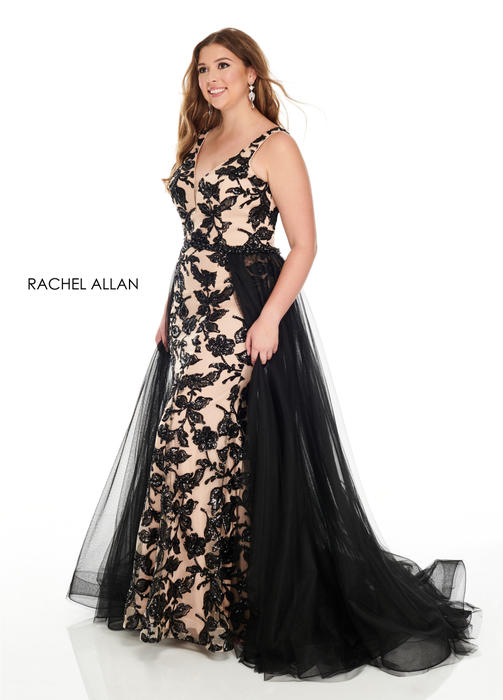 Rachel ALLAN Curves